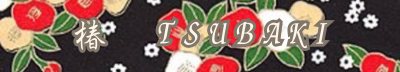 Salon TSUBAKI